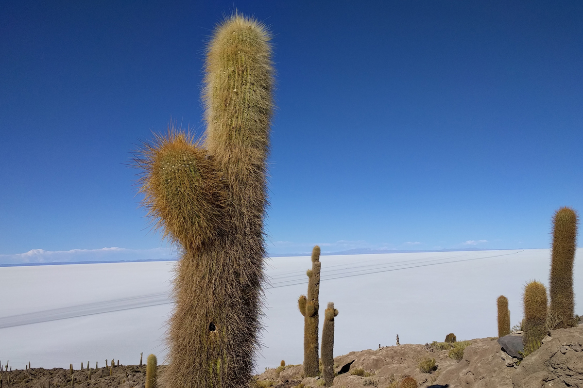 Photo - The expedition, somewhere